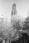 810964 Gezicht op de Domtoren te Utrecht met op de voorgrond enkele besneeuwde bomen; in het midden de Gaardbrug over ...